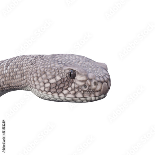 Western diamondback rattlesnake 3d illustration.