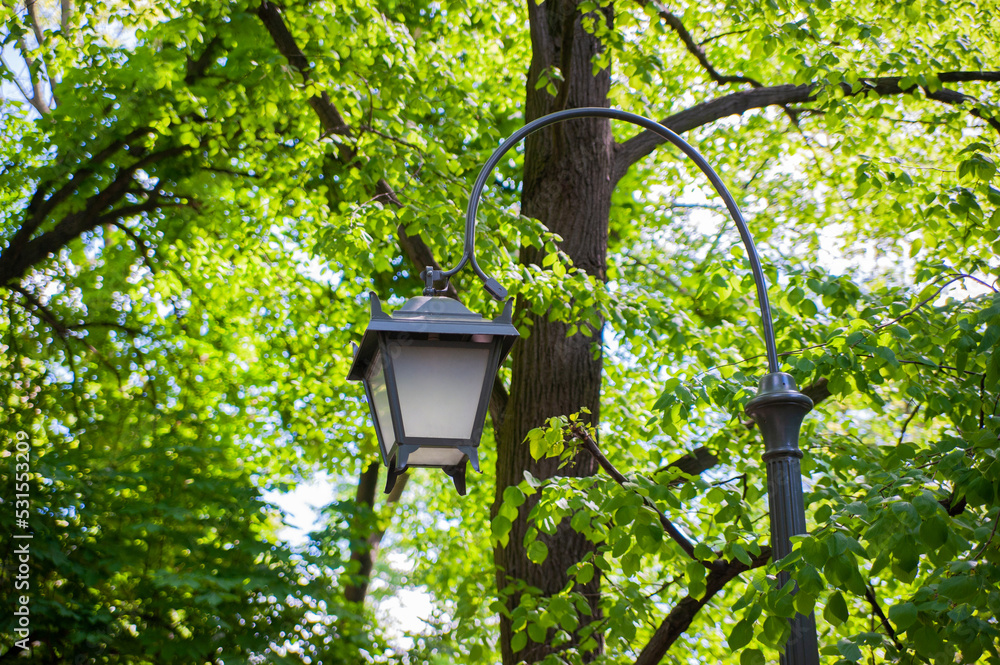 Beautiful street light lamp in park, low angle view Beautiful street light lamp in park, low angle view