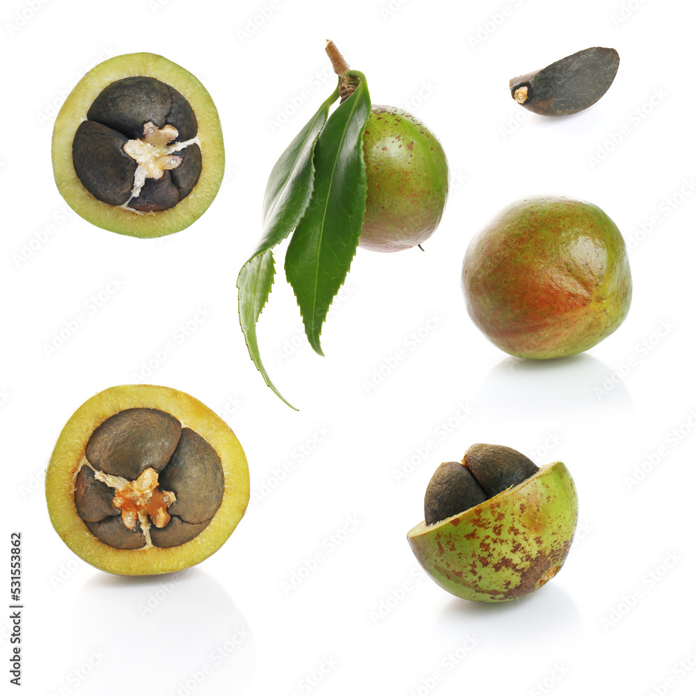 closed camellia nuts with seeds on a white background closed camellia nuts with seeds on a white background