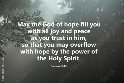 Bible verse - May the God of hope fill you with all joy and peace as you trust in him, so that you may overflow with hope by the power of the Holy Spirit. Romans 15:13 on rays in the woods background.