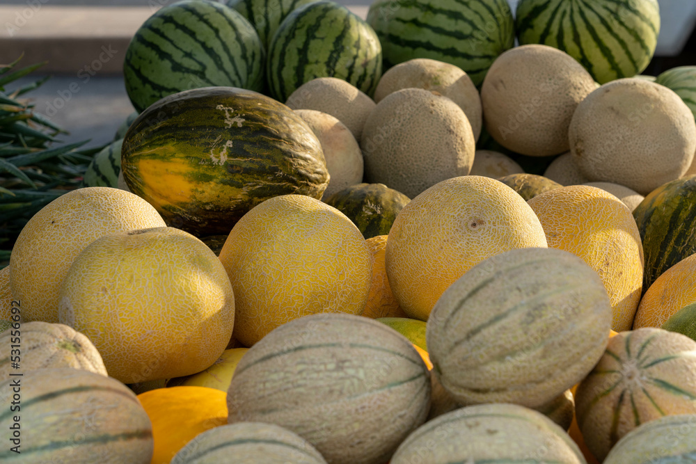 melons at the market