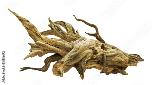 driftwood, beautiful aged wood, isolated 