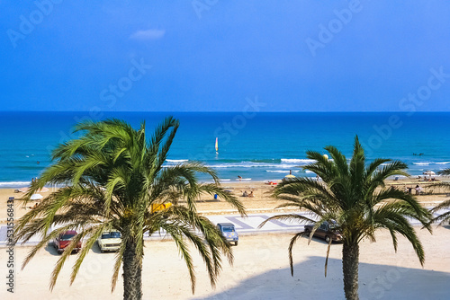 palm trees on the beach photo