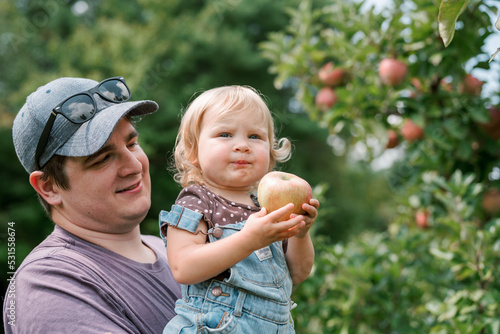 Bild auf Leinwand A dad and his toddler pick apples from a tree at an apple orchard