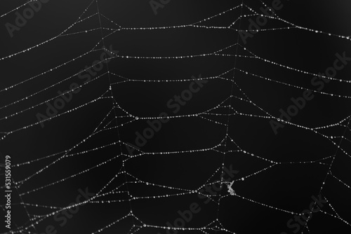 Print op canvas spider web with dew drops in black and white macrophotography