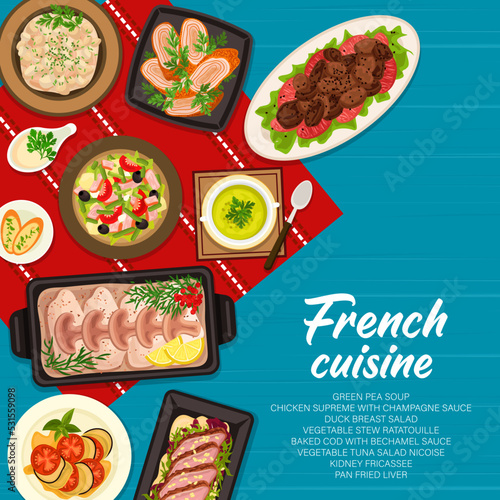 French cuisine restaurant food menu cover. Vegetable tuna salad, stew ratatouille and chicken supreme, pan fried liver, green pea soup and cod with Bechamel sauce, duck breast salad, kidney fricassee