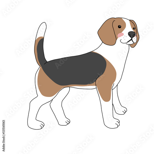 Beagle dog cartoon vector illustration