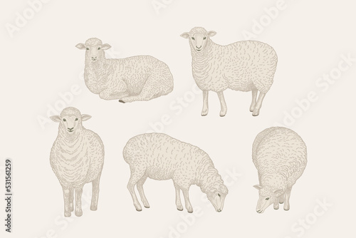Set with sheep. Vintage