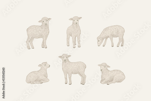 Set with little lambs.