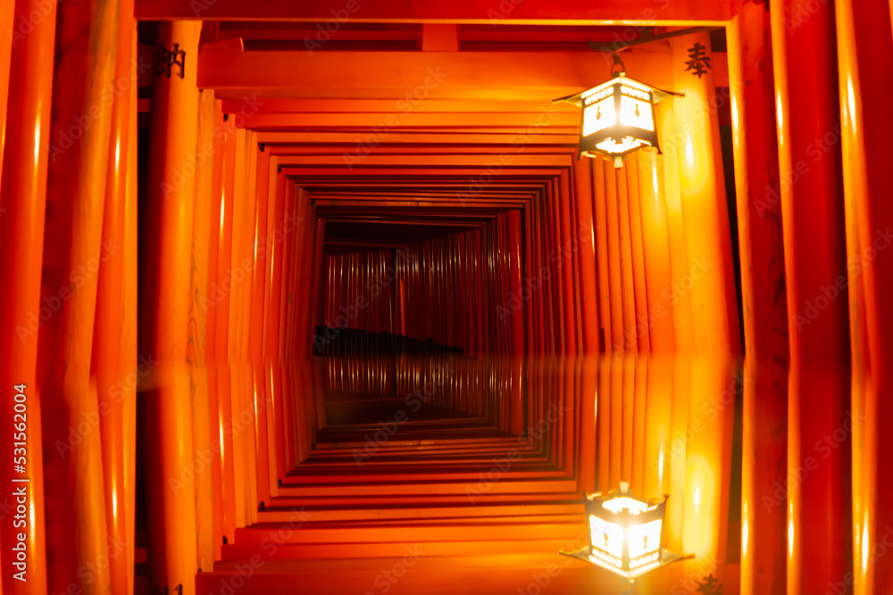 Fototapeta premium 深夜の伏見稲荷大社 千本鳥居