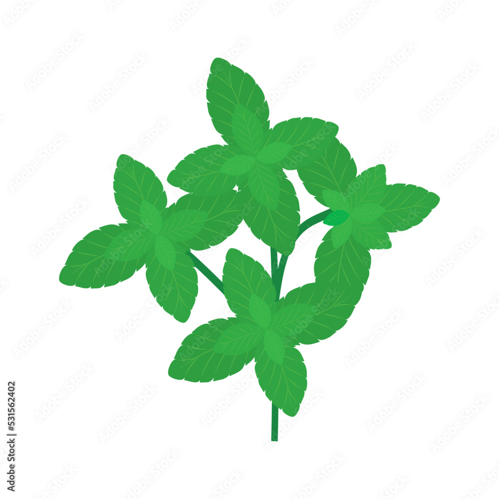Mint leaves, plant icon template vector Mint leaves, plant icon template vector