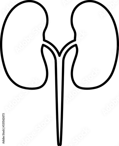 kidney icon. kidney vector design. sign design. black color.eps