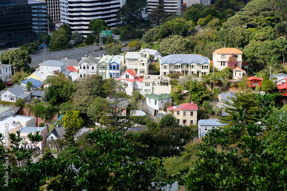 Fototapeta premium Beautiful historic heritage homes and residential houses nestled amongst trees in the suburb of Thorndon in the capital Wellington, New Zealand Aotearoa