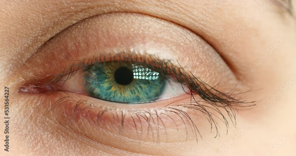 Zoom, eye vision and sad thinking model looking stress or with anxiety over memory. Portrait, face skin texture and girl with mental health, burnout or depression and blink motion eyelashes. Zoom, eye vision and sad thinking model looking stress or with anxiety over memory. Portrait, face skin texture and girl with mental health, burnout or depression and blink motion eyelashes.