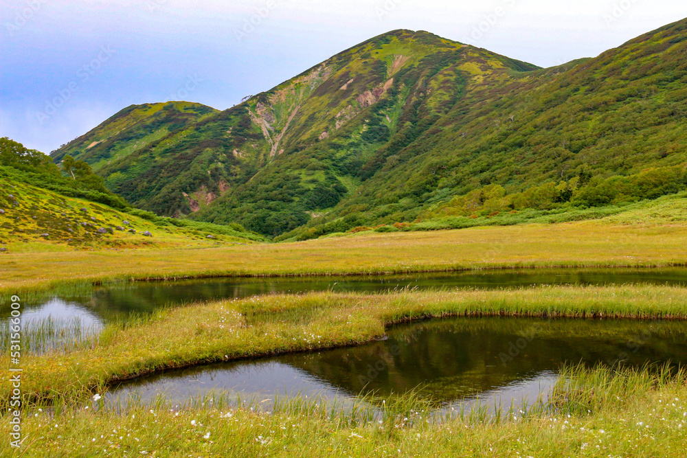 火打山 高谷池湿原からの風景 火打山 高谷池湿原からの風景
