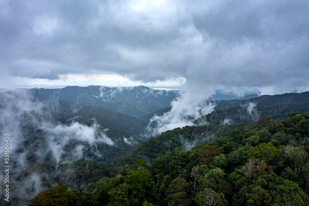 fog in the mountains fog in the mountains