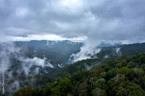 fog in the mountains