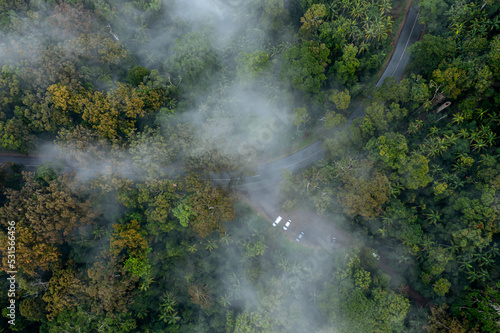 fog in the mountains