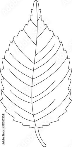 Acalypha wilkesiana copper leaf vector icon black and white
