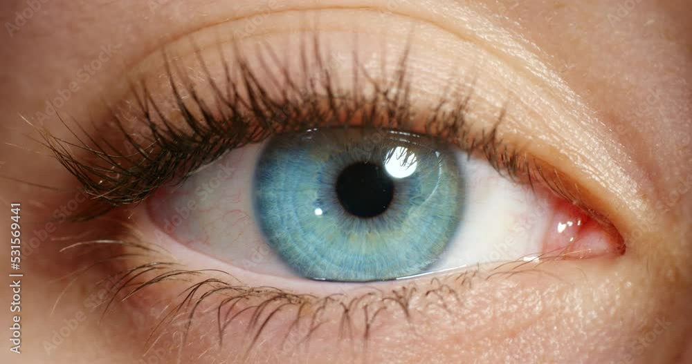 Human eye, vision and dilated pupils of beautiful woman with natural blue iris color with long eyelashes. Macro zoom of an awake female with optical eyesight for eyecare, drug or mydriasis awareness Human eye, vision and dilated pupils of beautiful woman with natural blue iris color with long eyelashes. Macro zoom of an awake female with optical eyesight for eyecare, drug or mydriasis awareness