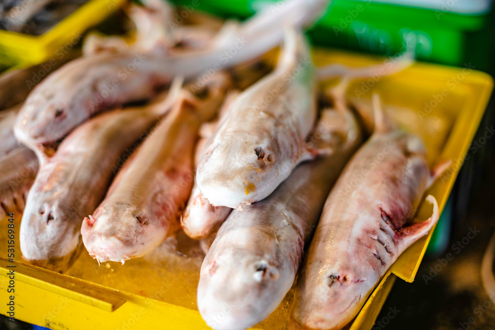 Small sharks are caught and sold for food in the Ban Na Kluea Fresh Market, Pattaya, Thailand.
