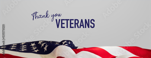 American Flag Banner with Veterans Day Caption on White. Premium Holiday Background.