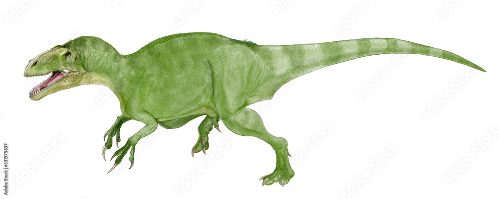 シアッツ・ミーケロルム 現在ではメガラプトル類に属する白亜紀後期に絶滅したとされる獣脚類。この恐竜の骨格データは少ない。発見された骨格では脊椎