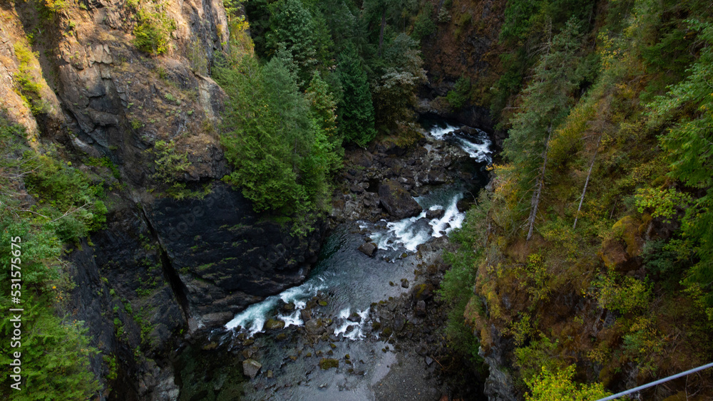 waterfall in the forest