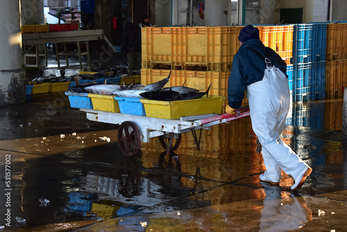 Fotografie Fishmarket worker transporting tuna fish on wood wagon