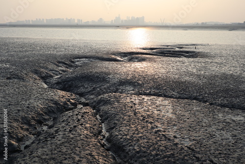 Fotografi sunset on the mud flat