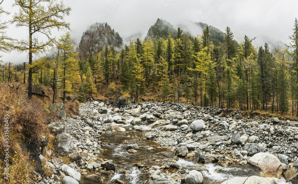 View of a rocky mountain river in the misty autumn forest. Colors of nature View of a rocky mountain river in the misty autumn forest. Colors of nature