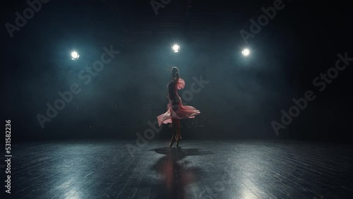 Wallpaper Mural Graceful ballerina in flowing dress spins and dances on tiptoe in pointe shoes on stage in spotlights. Ballet dancer silhouette Torontodigital.ca