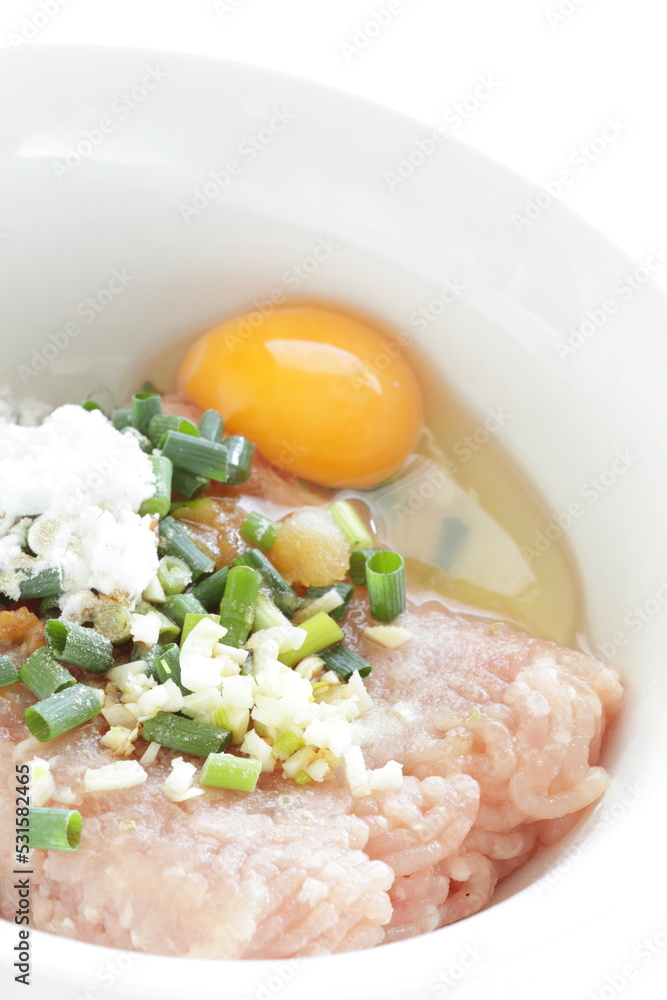 Minced chicken and spring onion with ginger and flour for meat ball cooking ingredient Minced chicken and spring onion with ginger and flour for meat ball cooking ingredient