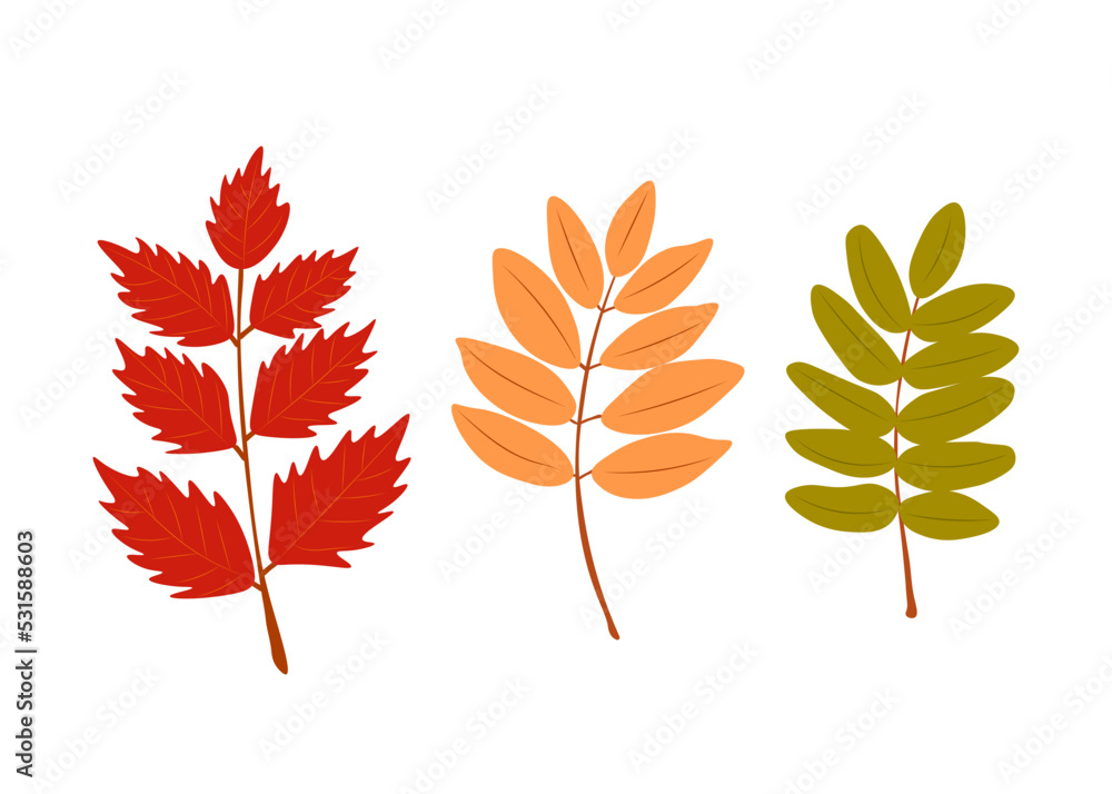 A large set of leaves in autumn colors