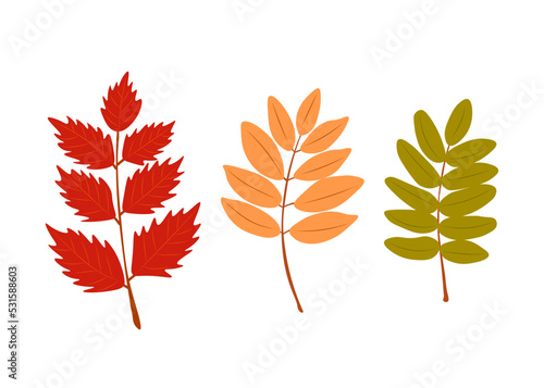 A large set of leaves in autumn colors
