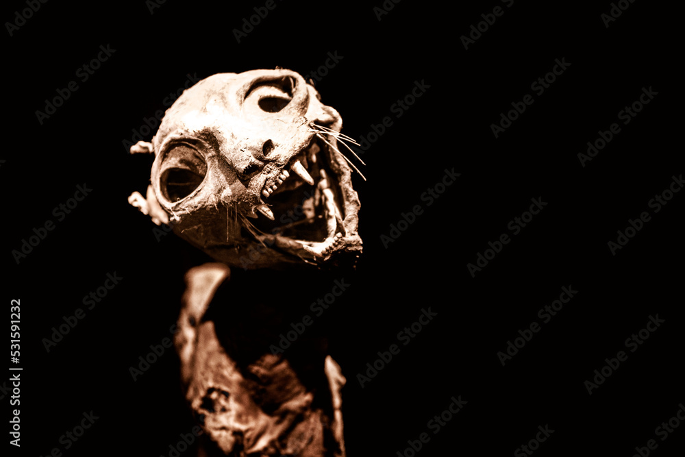 Scary close-up view of a mummified cat isolated on black background, looking at camera Scary close-up view of a mummified cat isolated on black background, looking at camera