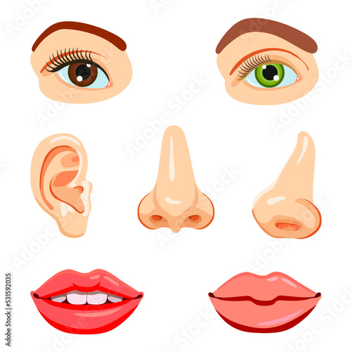 Educational vector set, parts of the face: eyes, nose, mouth, ear