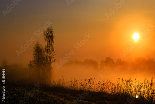 Kolorowa mgła o wschodzie © KoLesfot