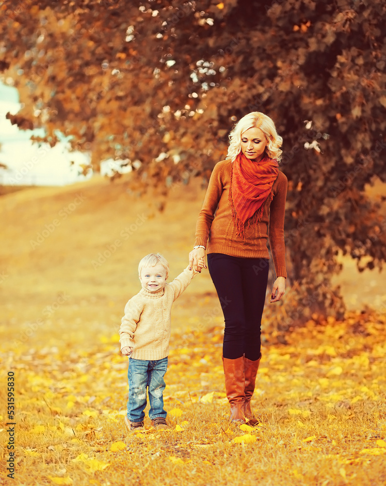 Fototapeta premium Happy mother and child walking together in autumn park