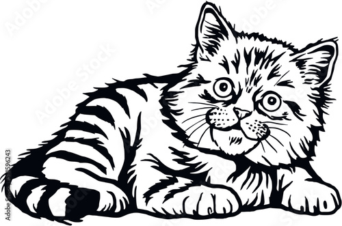 Domestic Cat, Peeking kitten - Cheerful kitty isolated on white - vector stock