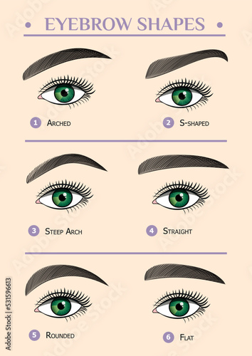 Women's eyebrows of different shapes. Female eyes with different shapes of eyebrows Vector eyebrows realistic and cartoon style. Collection of isolated female sketchy eyebrows.