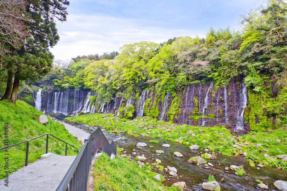 Fototapeta premium Shiraito waterfall and Fuji Mountain in Shizuoka, Chubu, Japan.