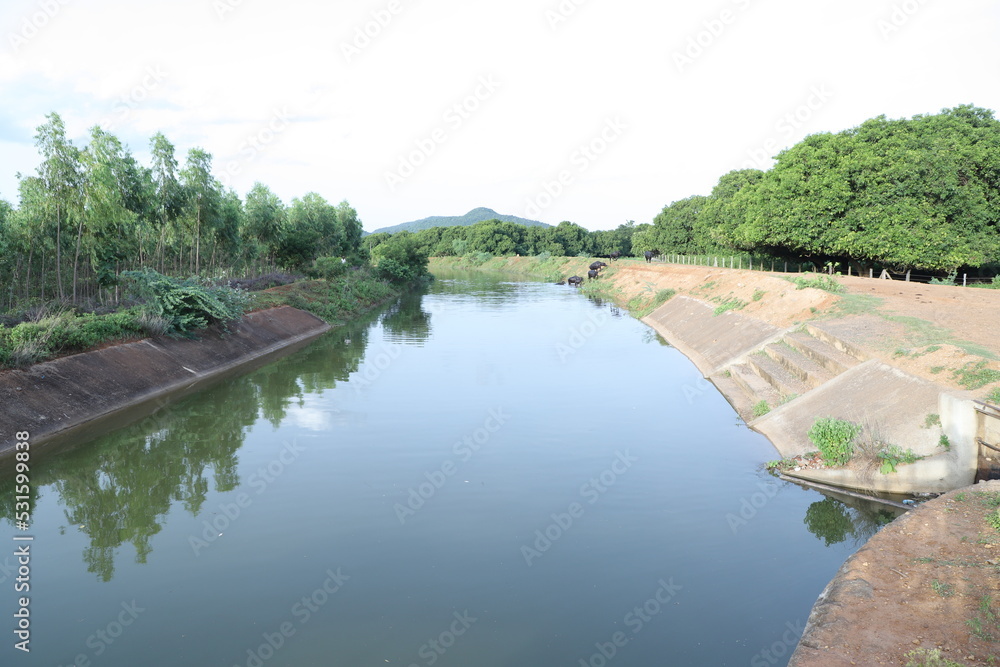 Obraz premium the river in the park