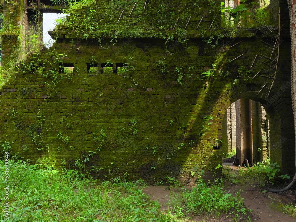 曽木発電所遺構 　ラピュタの世界