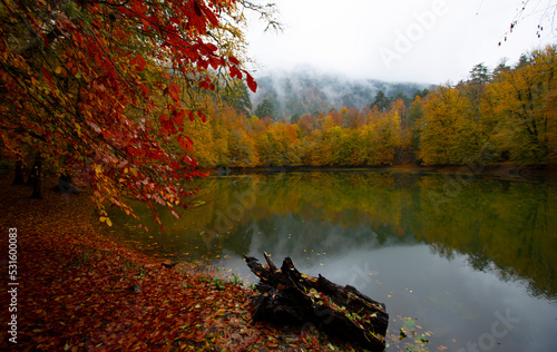 Valide Sultan lake in Belgrad Forest in Istanbul. Turkey. Holiday Destinations In Turkey. Walking sports path in beech and oak trees. Belgrad forest. Istanbul. Turkey.Trekking path in the forest. Walk photo