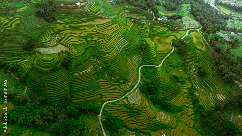 Beautiful mountain landscape, shot from the drone of green rice terraces, Sapa, Vietnam.