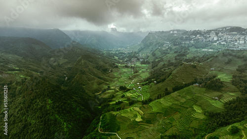 Beautiful mountain landscape, shot from the drone of green rice terraces, Sapa, Vietnam. © insomniafoto
