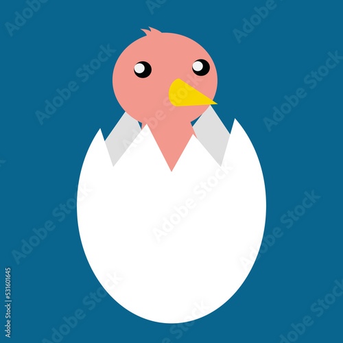 chick hatched from an egg