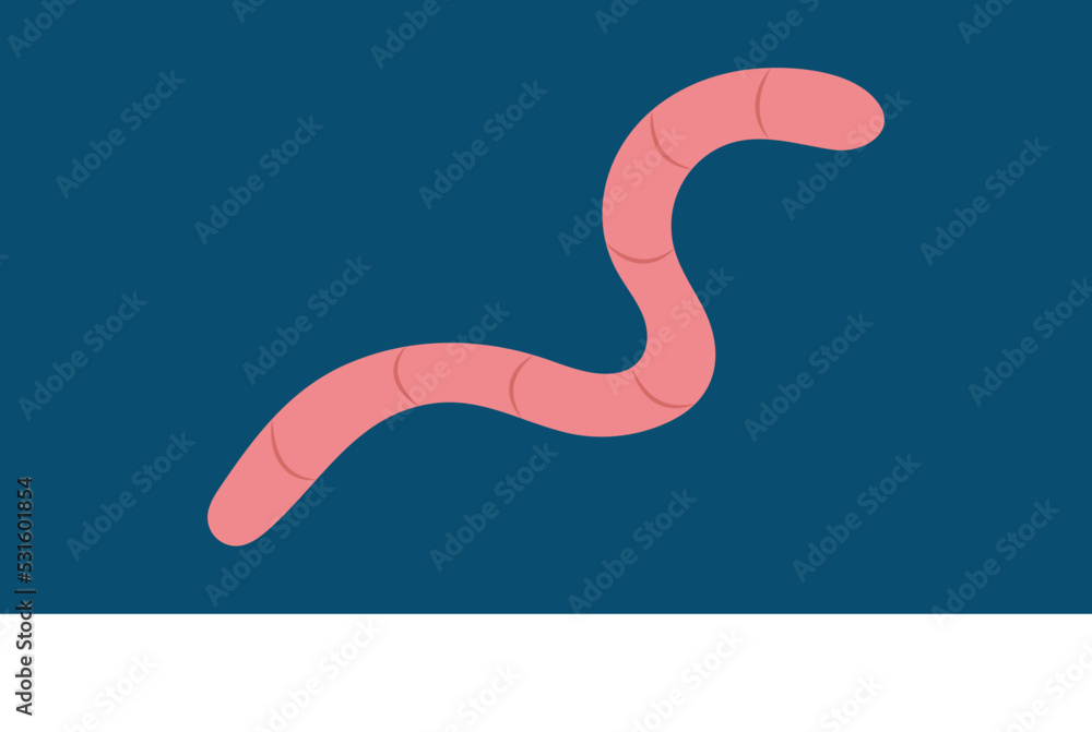 Earthworm, top view, illustration, vector Earthworm, top view, illustration, vector