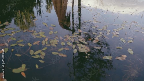 Reflection of a woman in a pond dancing, colour graded, slow motion, camera moving photo